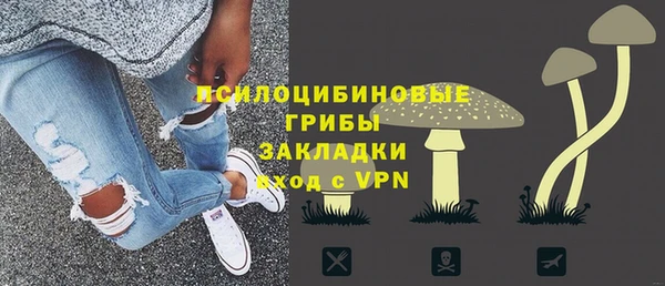 молекула духа Липки