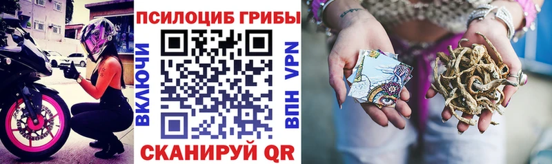 Псилоцибиновые грибы мухоморы  Купить где  Салехард 
